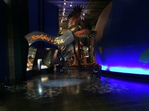 IMG_4741