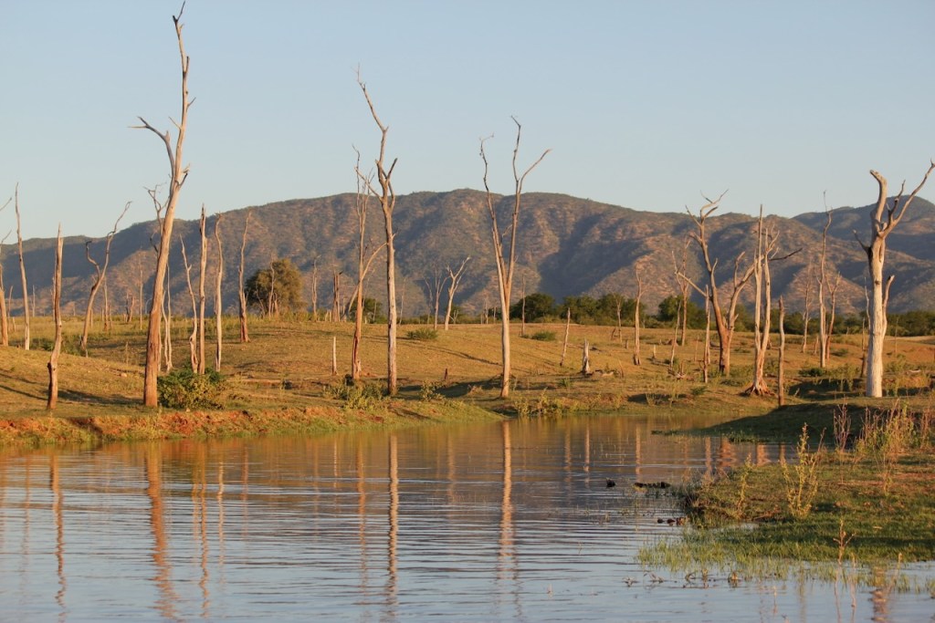 Finding myself at home in&nbsp;Zimbabwe