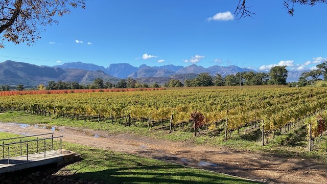 Franschhoek