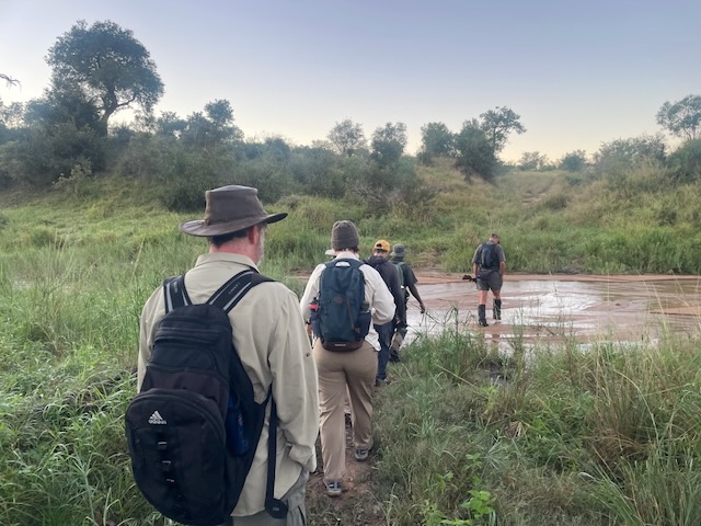 kruger walk