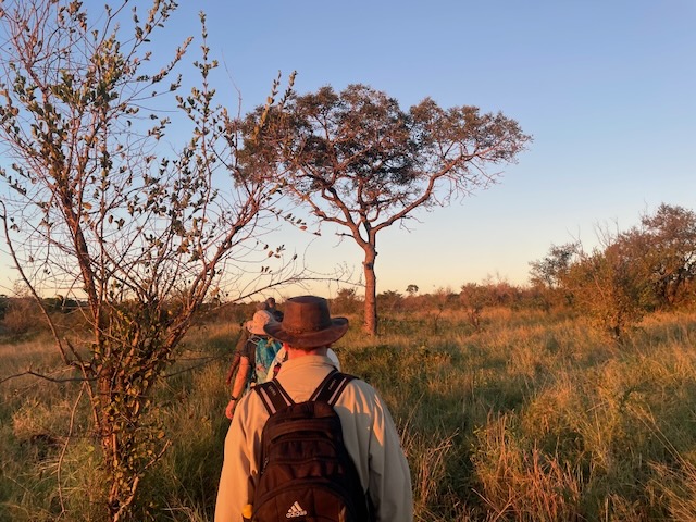 kruger walk
