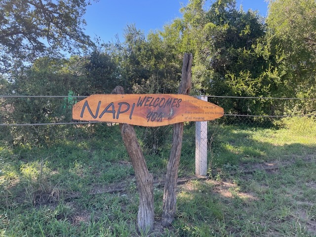 napi trail walk kruger