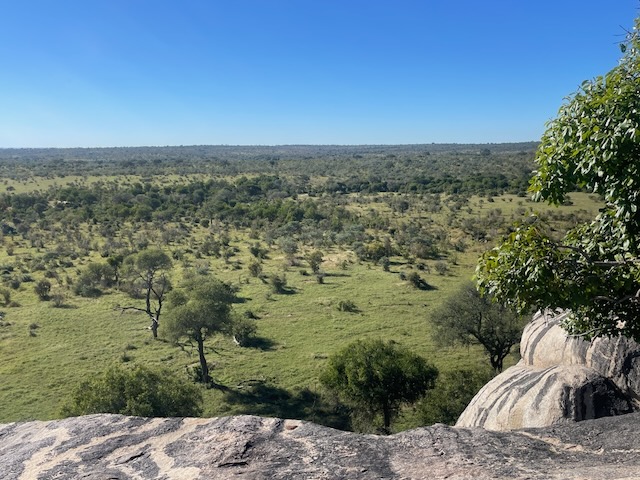 kruger