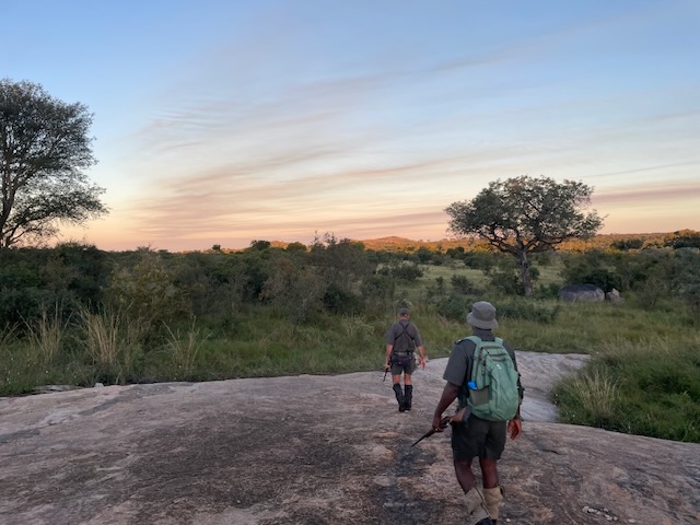 kruger walk
