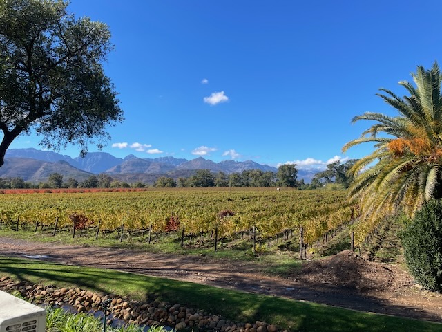 A Cape Town whirlwind of wine and&nbsp;re-connection